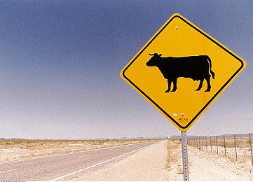 游戏开发恋爱游戏《调试女友》明年登陆PC及Switch